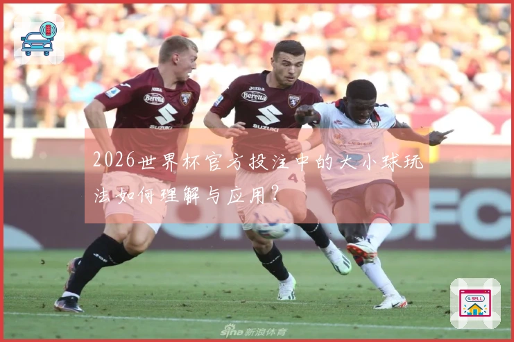 2026世界杯官方投注中的大小球玩法如何理解与应用？