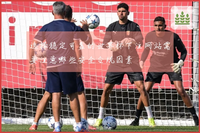 华体会体育资讯图片