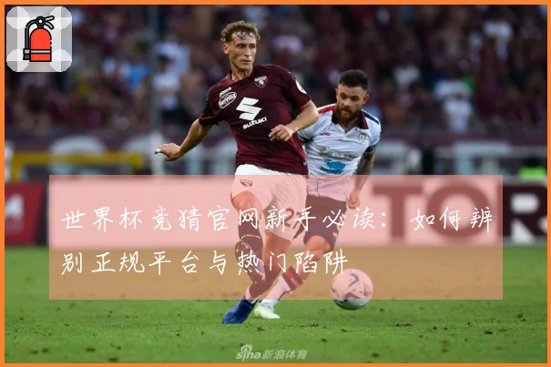世界杯竞猜官网新手必读：如何辨别正规平台与热门陷阱
