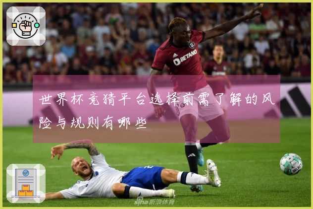 世界杯竞猜平台选择前需了解的风险与规则有哪些