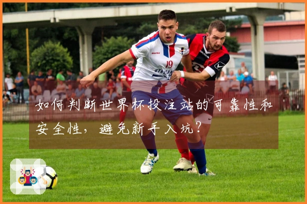 如何判断世界杯投注站的可靠性和安全性，避免新手入坑？
