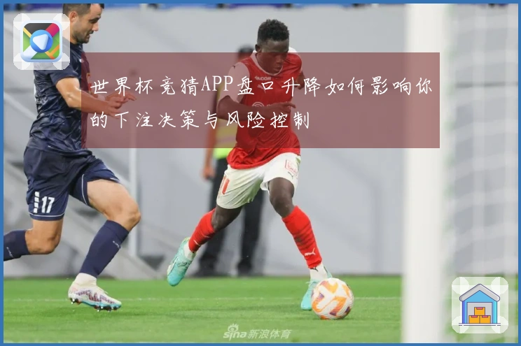 世界杯竞猜APP盘口升降如何影响你的下注决策与风险控制