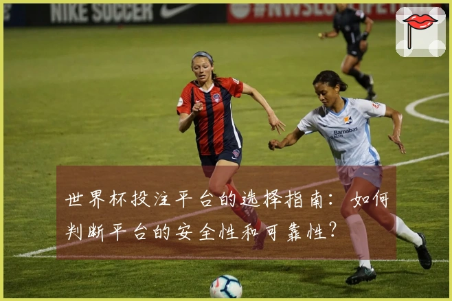 世界杯投注平台的选择指南：如何判断平台的安全性和可靠性？