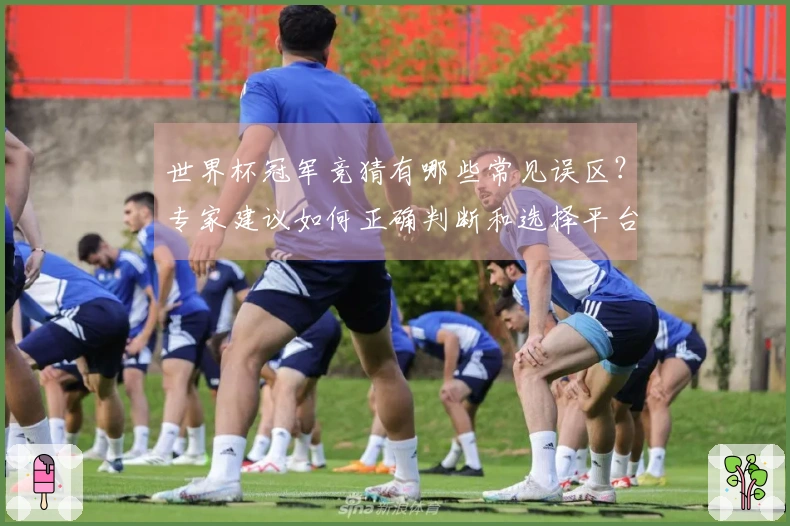 世界杯冠军竞猜有哪些常见误区？专家建议如何正确判断和选择平台